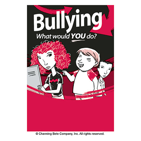 Bullying - What Would YOU Do?
