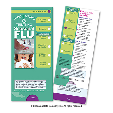 Preventing & Treating Seasonal Flu Slide Chart