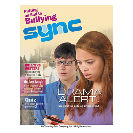 Sync Magazine -- Putting An End To Bullying