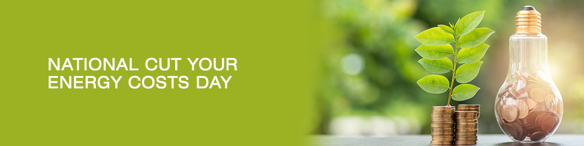National Cut Your Energy Costs Day